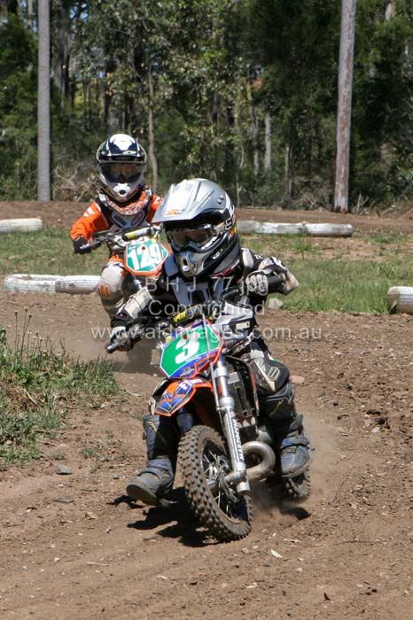 444x677 pixels (86K)